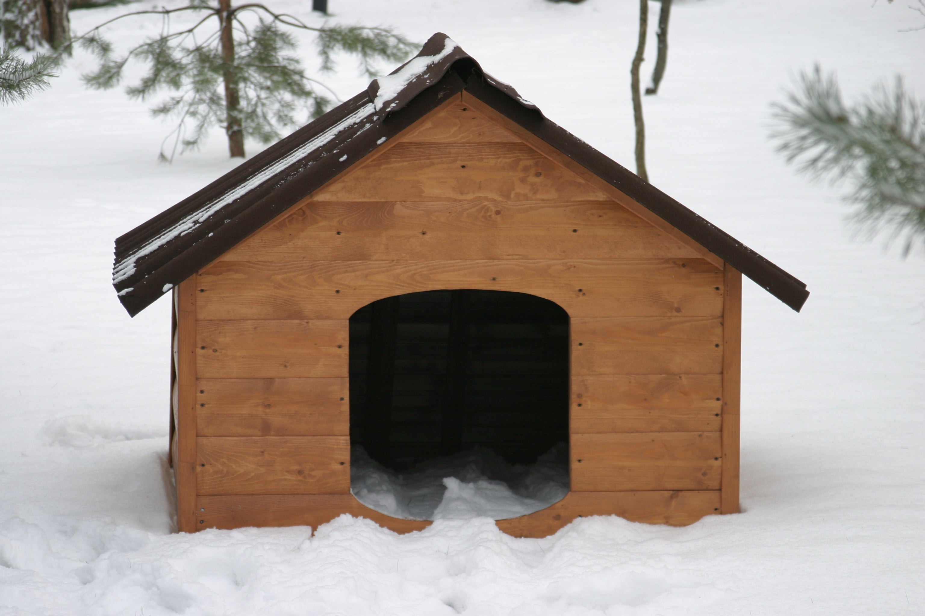 Warm Tails with Xtreme Heaters The Best in Dog House & Kennel Com