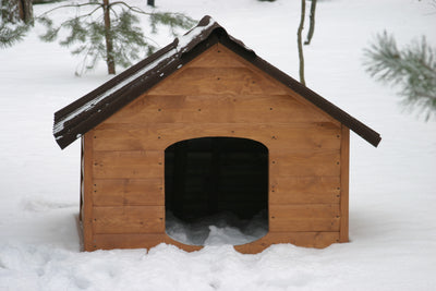 Warm Tails with Xtreme Heaters: The Best in Dog House &amp; Kennel Comfort!<br>Hello to all you dog devotees! 🐾